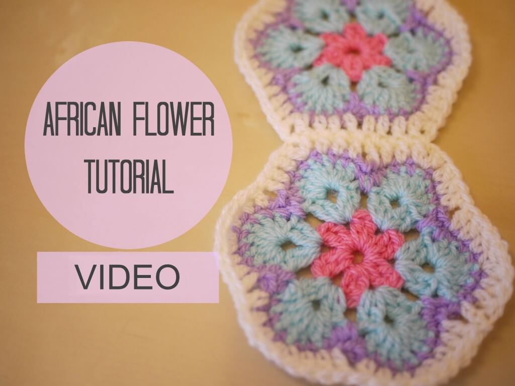african_flower_video